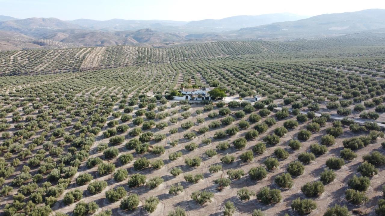 Casa De Familia Cortijo La Cubertilla Fuente-Tojar ภายนอก รูปภาพ
